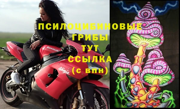 экстази Арсеньев