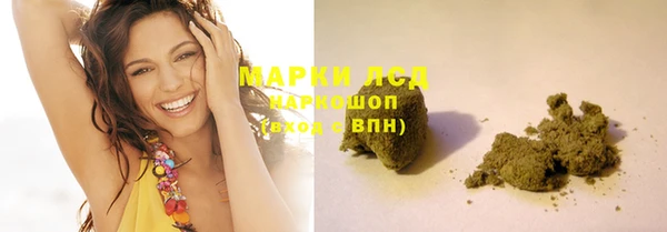 индика Семикаракорск