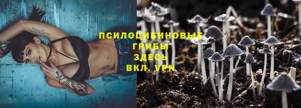 ALPHA-PVP Аркадак