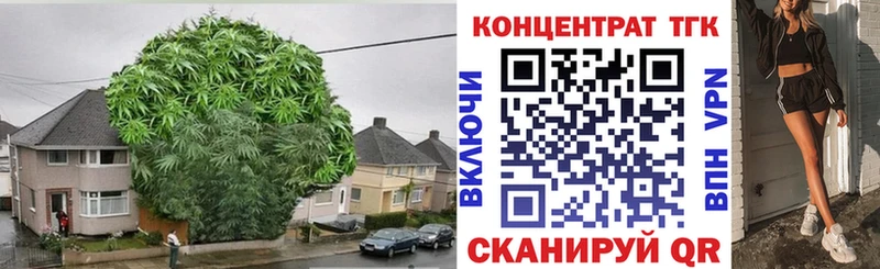 ТГК вейп  KRAKEN маркетплейс  Саянск  как найти закладки 