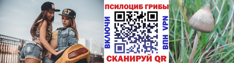 Галлюциногенные грибы мухоморы  закладки  Саянск 