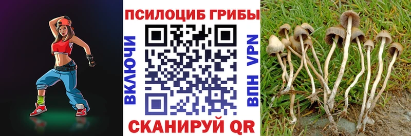 Галлюциногенные грибы мухоморы Саянск
